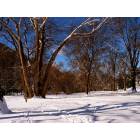 Huntington: : Snow in Ritter Park