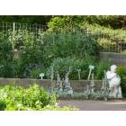 Dubuque: : The Blessed Garden