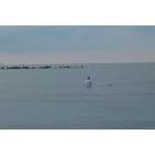 Grand Isle: Surf Fishing