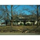 Lamar: Ice Storm Damage on Gulf Street