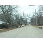 Lamar: Ice Storm Damage in North Lamar