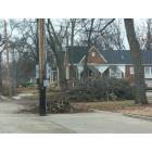 Lamar: Ice Storm Damage in North Lamar