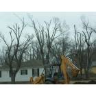 Lamar: Ice Storm Damage in North Lamar