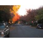 Oroville: Street in Oroville during fall (picture taken november)