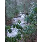 Beech Mountain: West Pond Creek along the hiking trail