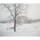 Charles Town: This picture was taken not to far from Main Street. Taken the first snow of 2003-2004 winter.