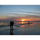 Grayland: Clam digging at Sunset