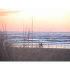 Grayland: Sunset through the grass