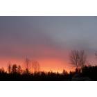 Sultan: Sunrise
