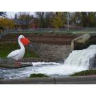 Pelican Rapids: Pete The Pelican