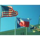 Arlington: Flags at Convention Center