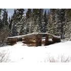 Fairplay: Old, abandoned log cabin in Fairplay