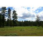 Ochoco: Indian Ponies once grazed here.....