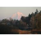 Hillsboro: Mt. Hood as seen across Jackson Bottom