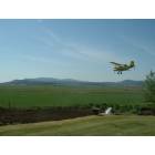 Bonanza: spray plane spraying a field