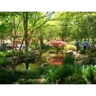 Dallas: : The Arboretum