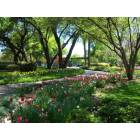 Dallas: : The Arboretum