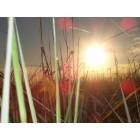 St. Marks: Wild Floridian beauty at Saint Marks