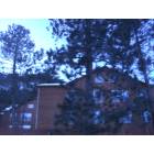 Mount Charleston: Lodge at Mt. Charleston