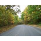 Naugatuck: Candee Road, Naugatuck