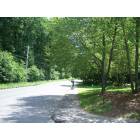 Naugatuck: Maple Hill Road, Naugatuck