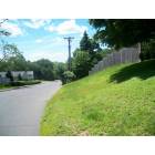Naugatuck: View of Arbor Avenue, Naugatuck