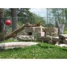 Great Bend: : Great Bend Zoo