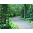 St. Charles: Walking Path in Delnor Woods Park, St. Charles, IL