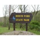 Huntington: : Beech Fork State Park (May-2008)