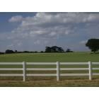 Lindale: Beautiful Green Field Near Lindale Texas
