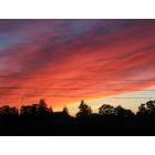 Rodeo: A gorgeous Rodeo sunset.