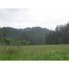Ferndale: On the quaint road to Centerville Beach.