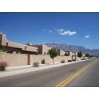 Albuquerque: NE neighborhood