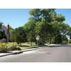 Albuquerque: nice neighborhood