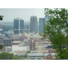 Birmingham: : Skyline from the Vulcan Center