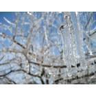Prairie Village: Ice Storm December 2007 - Crabapple Tree w/ Ice
