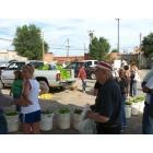 Portales: Portales Farmers Market