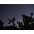 Rodeo: Quarter moon as seen through my balcony
