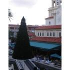 West Palm Beach: City Place