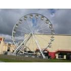 Long Beach: : Ferris Wheel @ Shoreline.