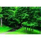 Watertown: Thompson Park