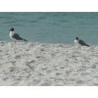 Panama City Beach: relaxing on the beach