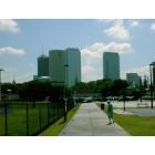 Tampa: Tampa skyline from UT