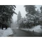 Running Springs: The lovely streets of the winter wonderland =D