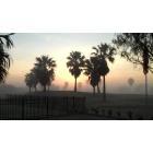 Laguna Vista: Foggy Sunrise SPIGC