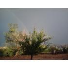 Picture Rocks: Monsoons