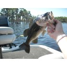 Lakeland: Bass fishing on Banks Lake Lakeland GA