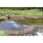 Georgetown: Guanella Pass Beaver Ponds