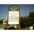 Pine Lake: Pine Lake Village - Beautiful Building for Lease