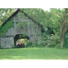 Kingsport: One of many barns found in Kingsport, TN